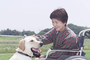 横浜で胃カメラ検査を行いたいなら