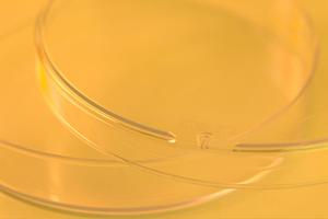 船橋で選ぶ！痛みの少ない医療脱毛クリニック完全ガイド【お得なキャンペーン情報も】