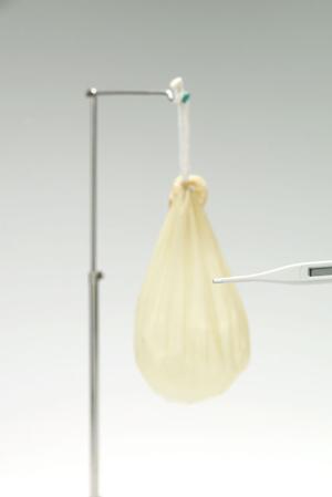 痛くない治療が受けられる東京の歯医者を徹底ガイド！家族の健康を守るための選び方