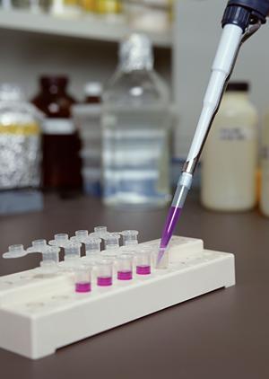 仙台で心のケアを実現!心理療法の選び方と効果的なサポート方法