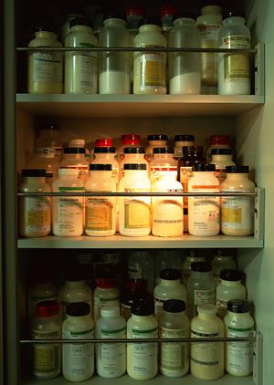 「有明エリアで選ぶ!信頼できる産婦人科ガイドと妊婦健診のポイント」